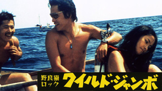 新品未開封 廃盤 帯付き CD 野良猫ロック 日活ニューアクションの世界 Amazon.co.jp: 野良猫ロック: ミュージック